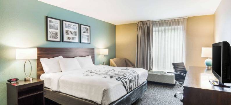 舒眠套房酒店(Sleep Inn & Suites)图片