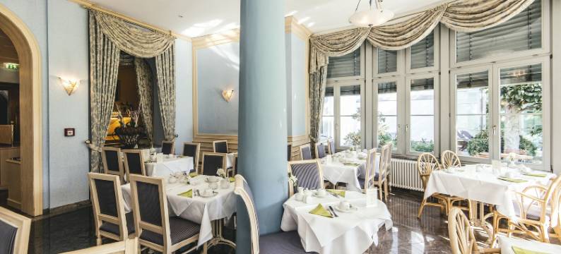 海涅别墅康体和Spa酒店(Hotel Villa Heine Wellness & Spa)图片