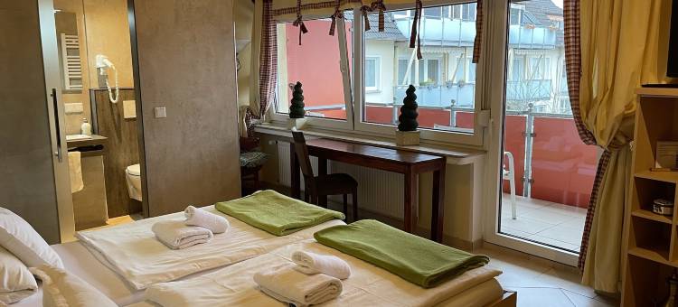 坎布里努斯阿尔斯贝格酒店(Hotel Gambrinus Arnsberg)图片