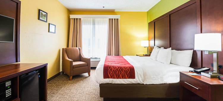 戴顿西北英格尔伍德舒适套房酒店(Comfort Inn & Suites Dayton Northwest - Englewood)图片