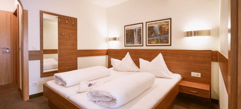 阿尔佩影响酒店的皮因茨高乐尔霍夫酒店(Hotel Pinzgauerhof by Alpeffect Hotels)图片