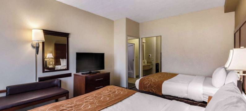 哥伦比亚门户舒适套房酒店(Comfort Suites Columbia Gateway)图片