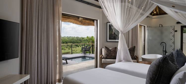 Leopard Sands, Kruger Park图片