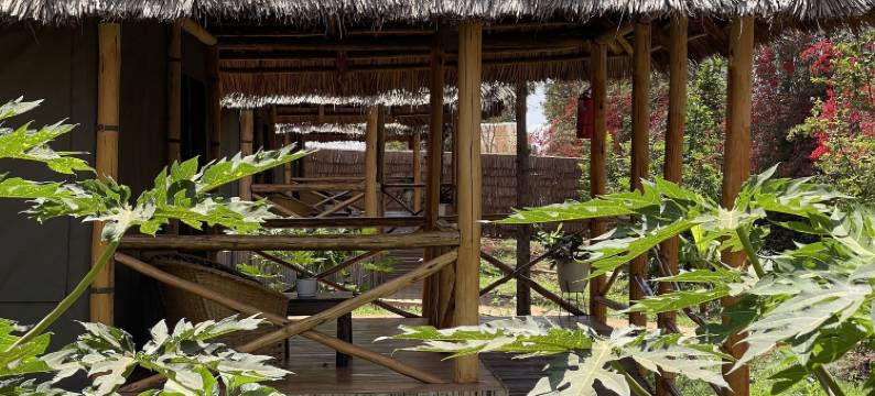 NJIA PANDA帐篷旅馆和露营地(Njia Panda Tented Lodge and Campsite)图片