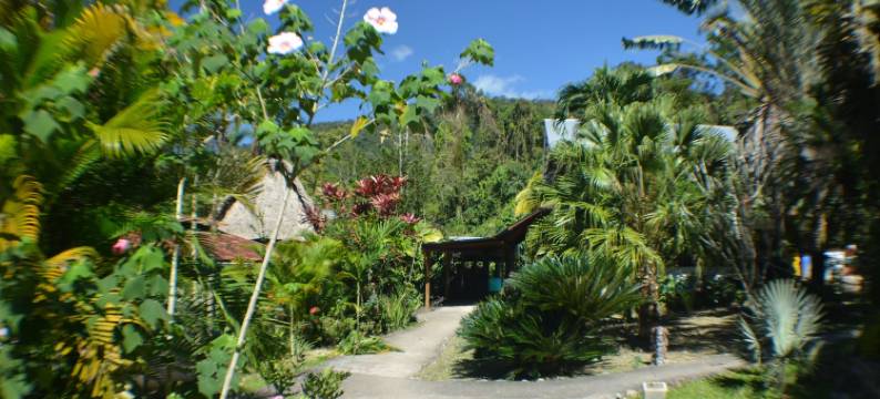 欧米茄旅游生态山林小屋(Omega Tours Eco-Jungle Lodge)图片