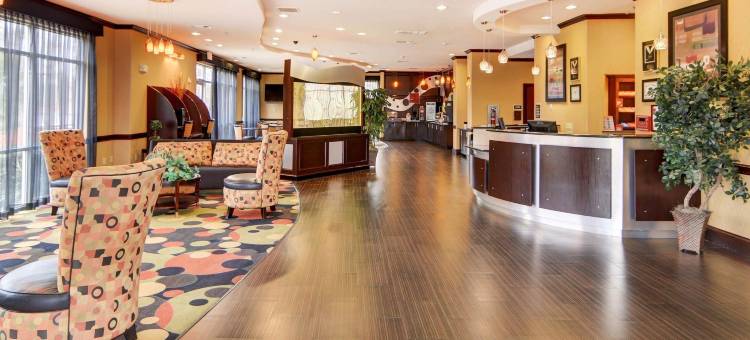 基尔戈舒适套房酒店(Comfort Suites Kilgore)图片