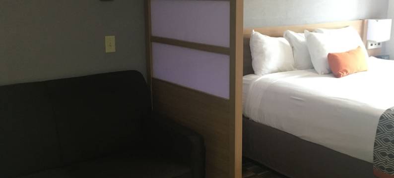 佛罗伦萨温德姆麦客达套房酒店(Microtel Inn & Suites by Wyndham Florence)图片