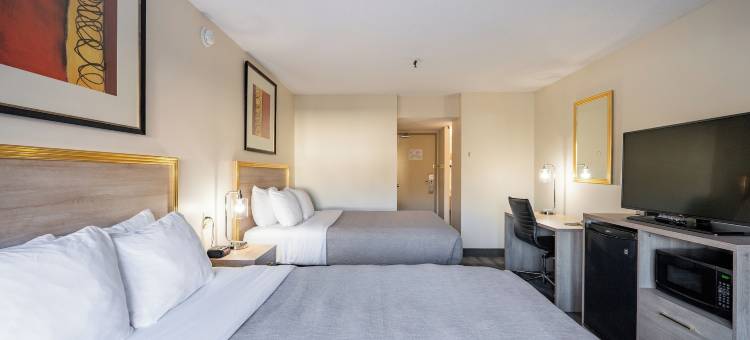 哈利法克斯机场酒店(Hfx Airport Hotel)图片