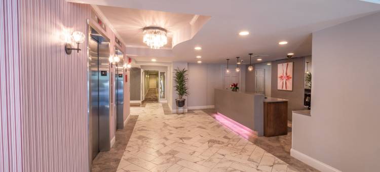 华盛顿特区西区酒店-希尔顿挂毯精选(West End Washington DC, Tapestry Collection by Hilton)图片