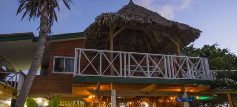 蓝佐索布里诺酒店(Rancho El Sobrino)图片