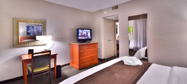 丹佛中央公园希尔顿安泊套房酒店(Embassy Suites by Hilton Denver Central Park)图片