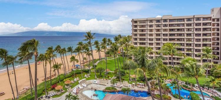 凯阿纳帕利阿里(Kaanapali Alii)图片