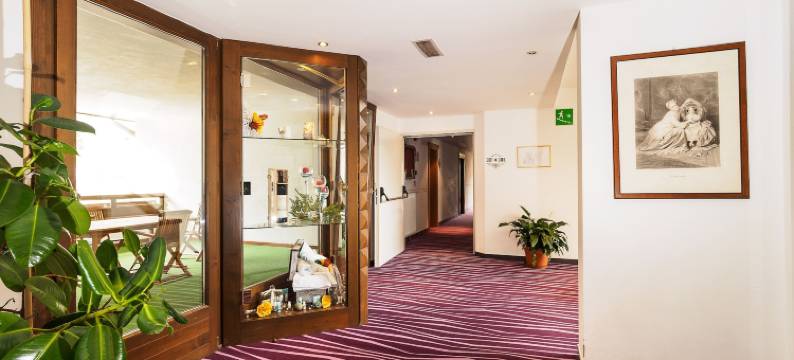 圣坦顿酒店(Hotel Santanton)图片