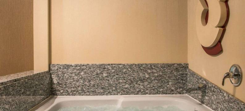 舒适套房酒店(Comfort Suites)图片