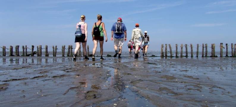 瓦登贺诺酒店(Hotel Waddengenot)图片