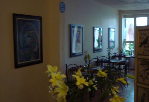 Casa Tlaquepaque Hotel Overview