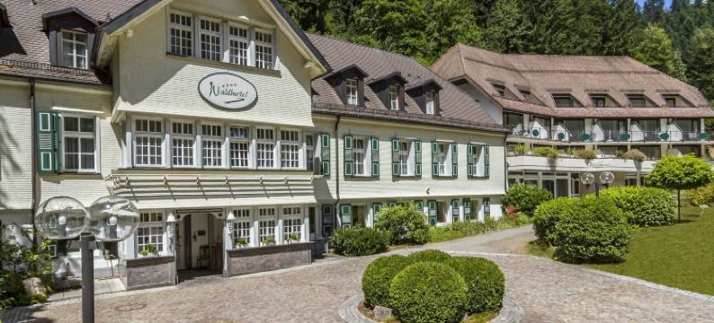 贝得苏博万酒店(Waldhotel Bad Sulzburg)图片
