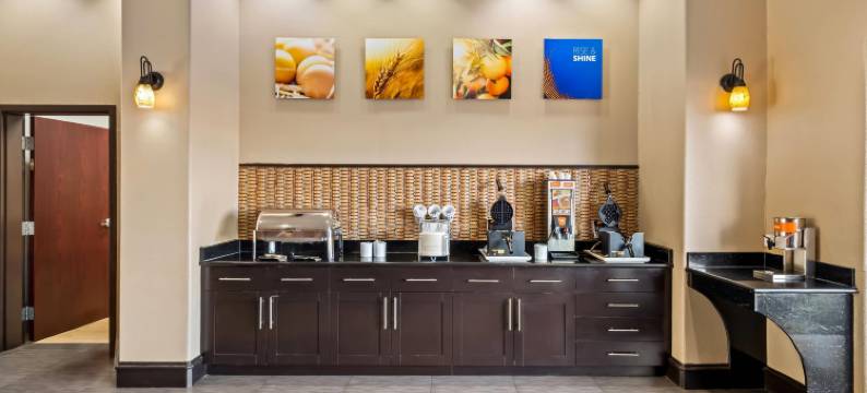 沃克西哈奇-达拉斯舒适套房酒店(Comfort Suites Waxahachie - Dallas)图片