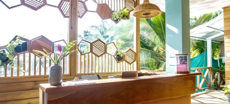 竹舞者博卡斯城 - 旅馆(Bambuda Bocas Town)图片