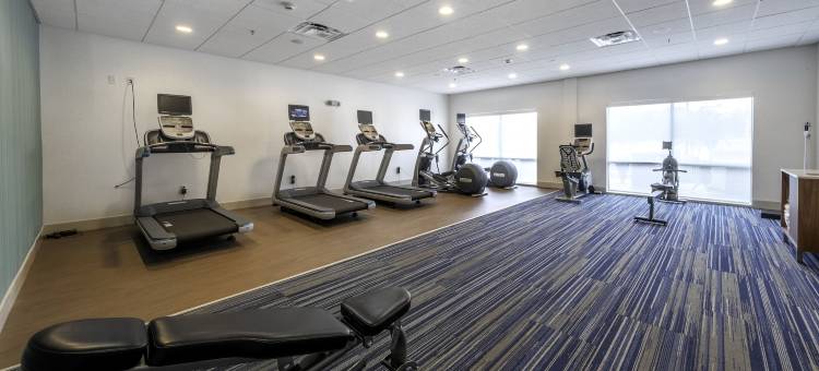 斯丹顿智选假日套房酒店(Holiday Inn Express & Suites Staunton)图片