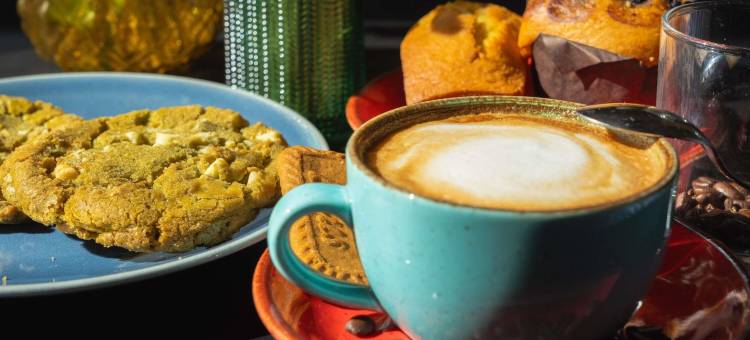 凡尔赛宫诺富特酒店(Novotel Château de Versailles)图片