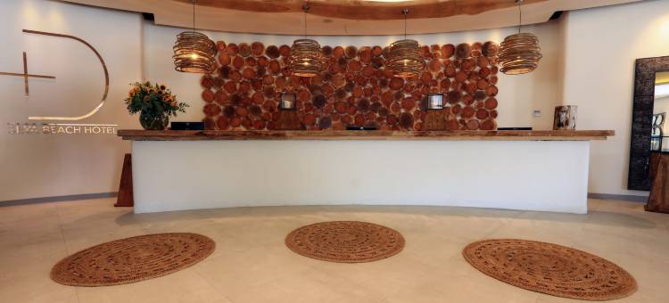 塞亚海滩酒店(Design Plus Seya Beach Hotel)图片