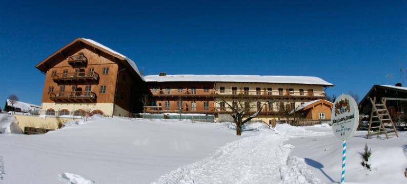 奥特沃特兰德加斯特霍夫酒店(Hotel Und Landgasthof Altwirt)图片