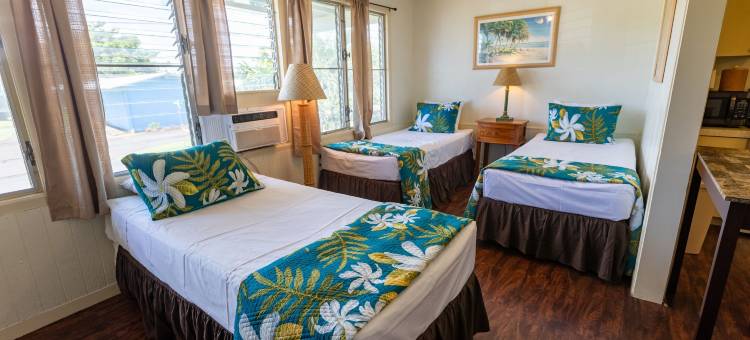 考艾岛棕榈酒店(Kauai Palms Hotel)图片