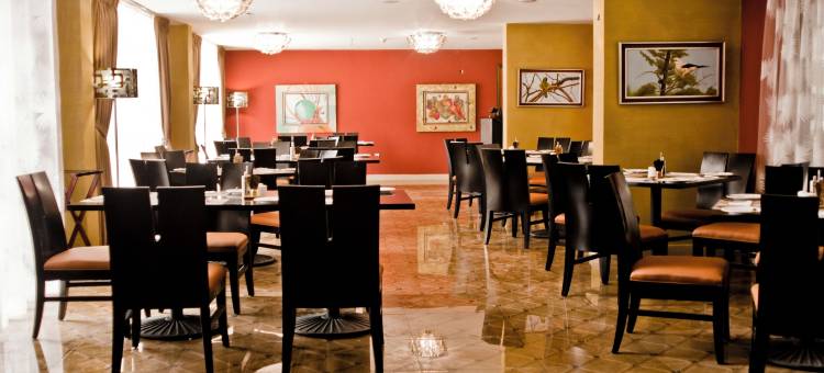 南星国际酒店(South Star International Hotel)图片