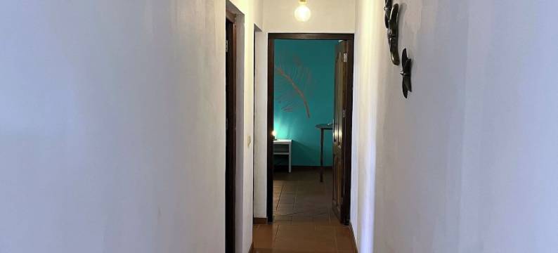 米洛德公寓(Mirador Apartments)图片