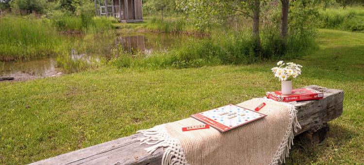 猫头鹰巢套房公寓(Owl's Nest Suites)图片