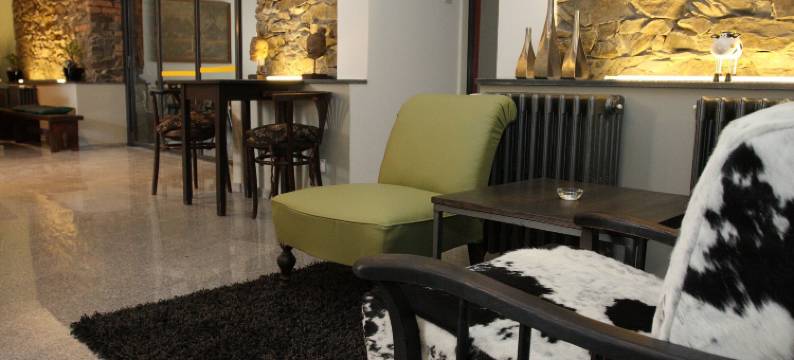 阿尔特膳食旅馆(Alt Pension)图片