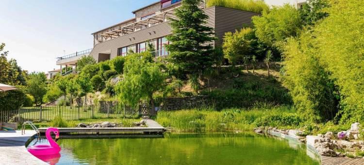 拉·麦森杜·夏图(Villas - la Maison du Château - by Domaine Riberach)图片