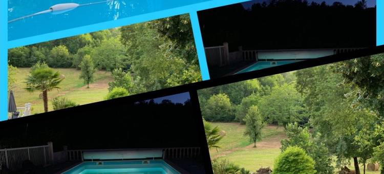 森林中的母鹿(La Biche au Bois)图片