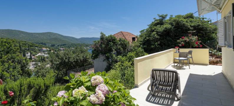 玫瑰客房旅馆(Guest House Rooms Rose)图片