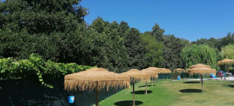 格雷多斯阁楼公寓(Gredos Loft)图片