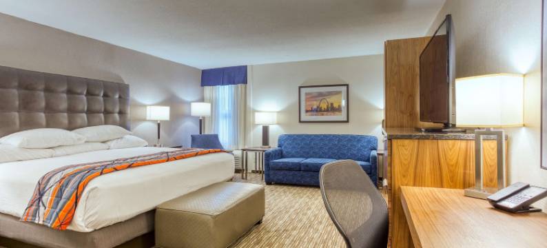 圣路易斯-柯林斯威尔德鲁里酒店(Drury Inn and Suites St Louis Collinsville)图片