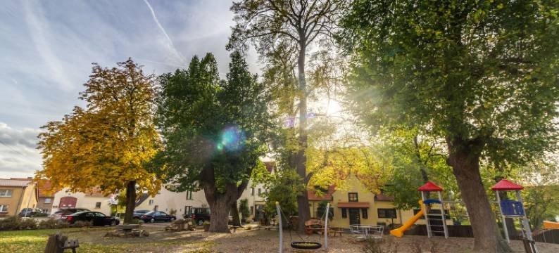 五棵椴酒店 & 餐厅(Hotel & Restaurant 5 Linden)图片