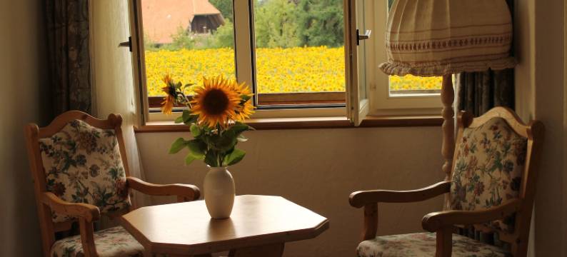 奥伯多夫社区酒店(Gemeinschaftshaus im Oberdorf)图片