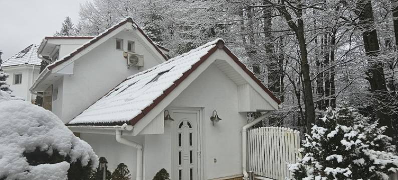 奥地利俱乐部精品酒店(Boutique Hotel Forest Retreat)图片