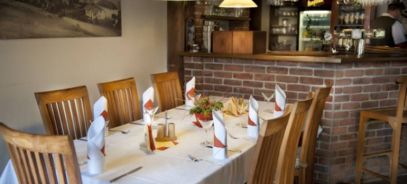 辛格酒店(Hotel Singer)图片