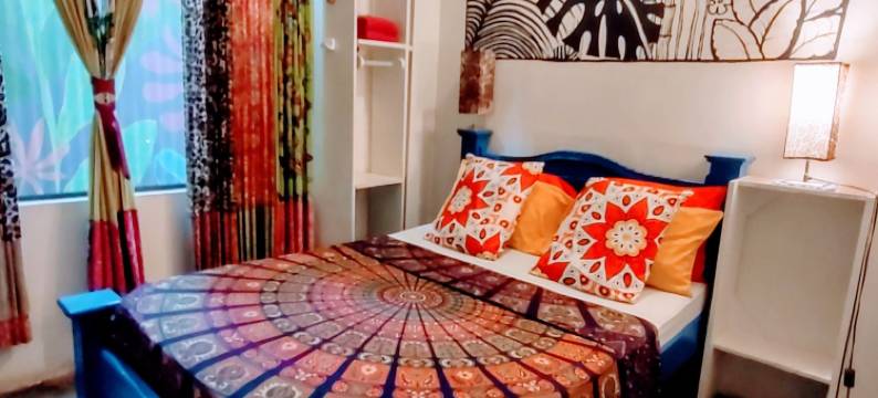 朱恩格拉民宿青年旅舍(Casajungla Hostel)图片