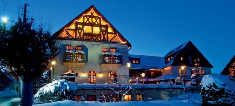 尼赫恩酒店(Hotel Neue Höhe)图片