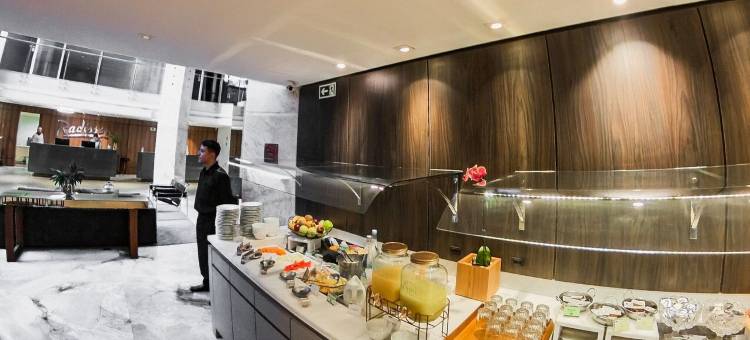 阿雷格里港丽笙酒店(Radisson Hotel Porto Alegre)图片