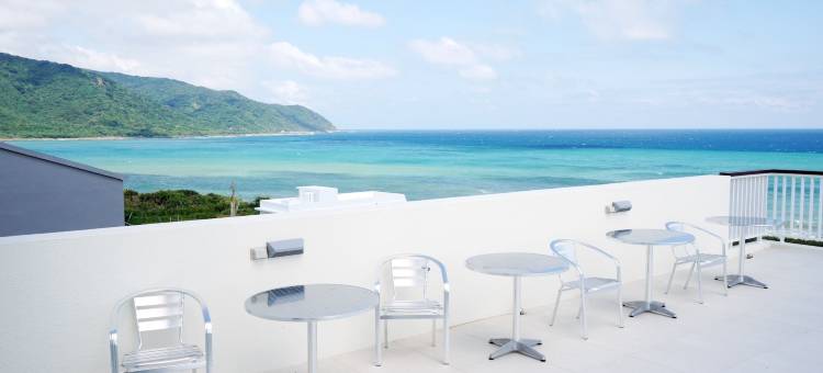 小猪爱吃地瓜叶图片