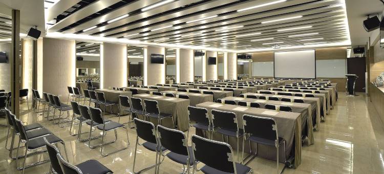 嘉义尊皇大饭店图片