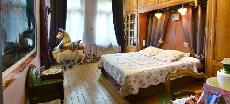 苏维兹乐拉品布兰克住宿加早餐旅馆(Suivez le Lapin Blanc-BB Chambres d'Hôtes)图片