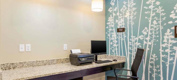 温菲尔德-泰伊斯谷美茵斯坦套房酒店(MainStay Suites Winfield-Teays Valley)图片