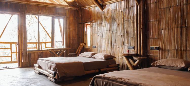 卡蒂卡杜(KaatiKaadu)图片