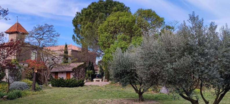 Spacious holiday home with private pool and park图片